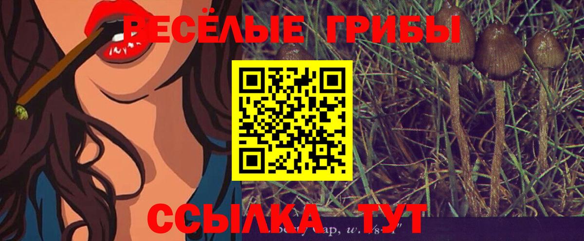 Галлюциногенные грибы Cubensis Кыштым