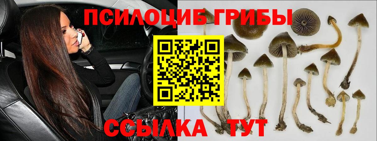 Кыштым  Галлюциногенные грибы мухоморы  Вход с VPN 